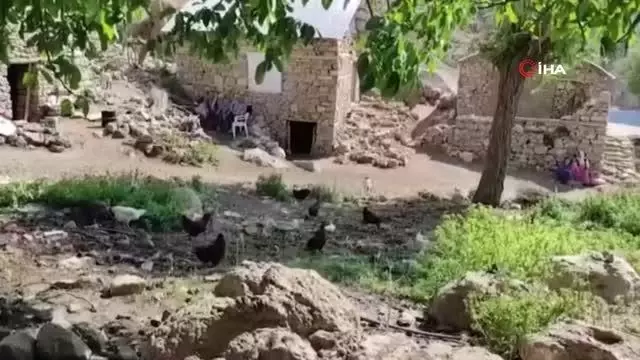 Çatak'ta aşılama çalışmaları devam ediyor