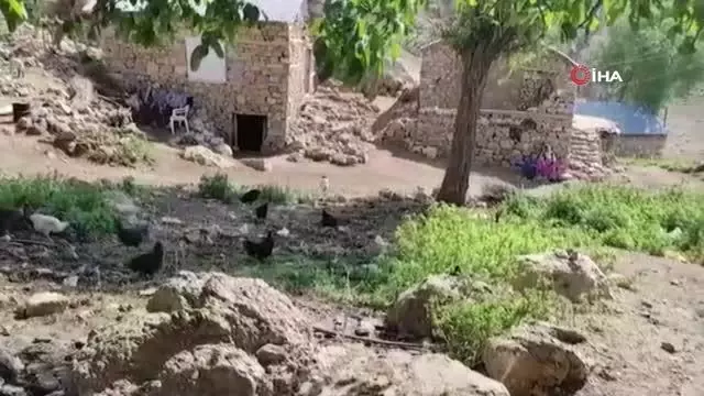 Çatak'ta aşılama çalışmaları devam ediyor