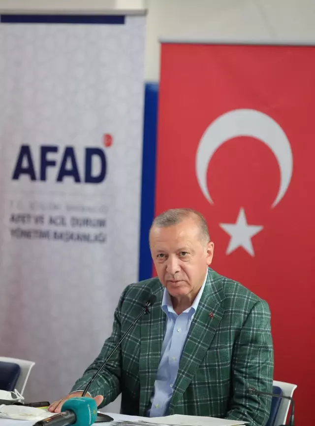 Cumhurbaşkanı Erdoğan, Manavgat'ta orman yangınlarıyla ilgili açıklamalarda bulundu: (1)