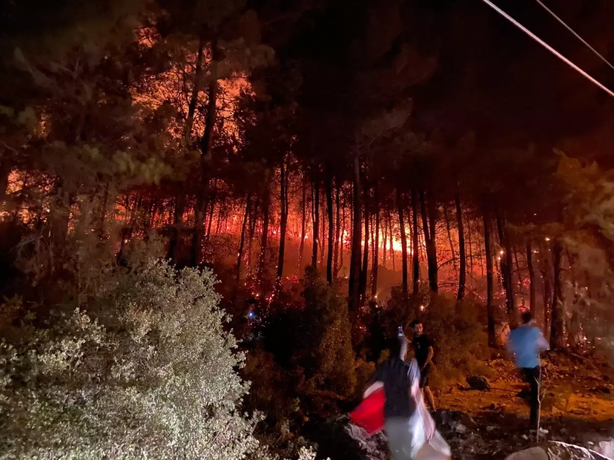 Fethiye ilçesindeki orman yangını kontrol altına alındı