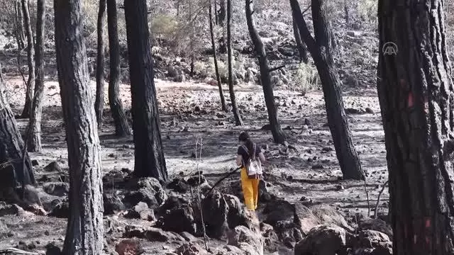 Fethiye ilçesindeki orman yangını kontrol altına alındı
