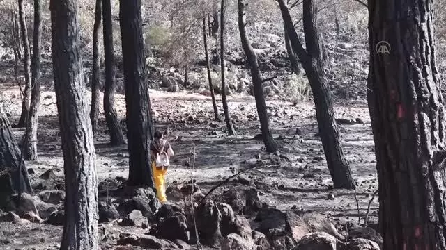 Fethiye ilçesindeki orman yangını kontrol altına alındı