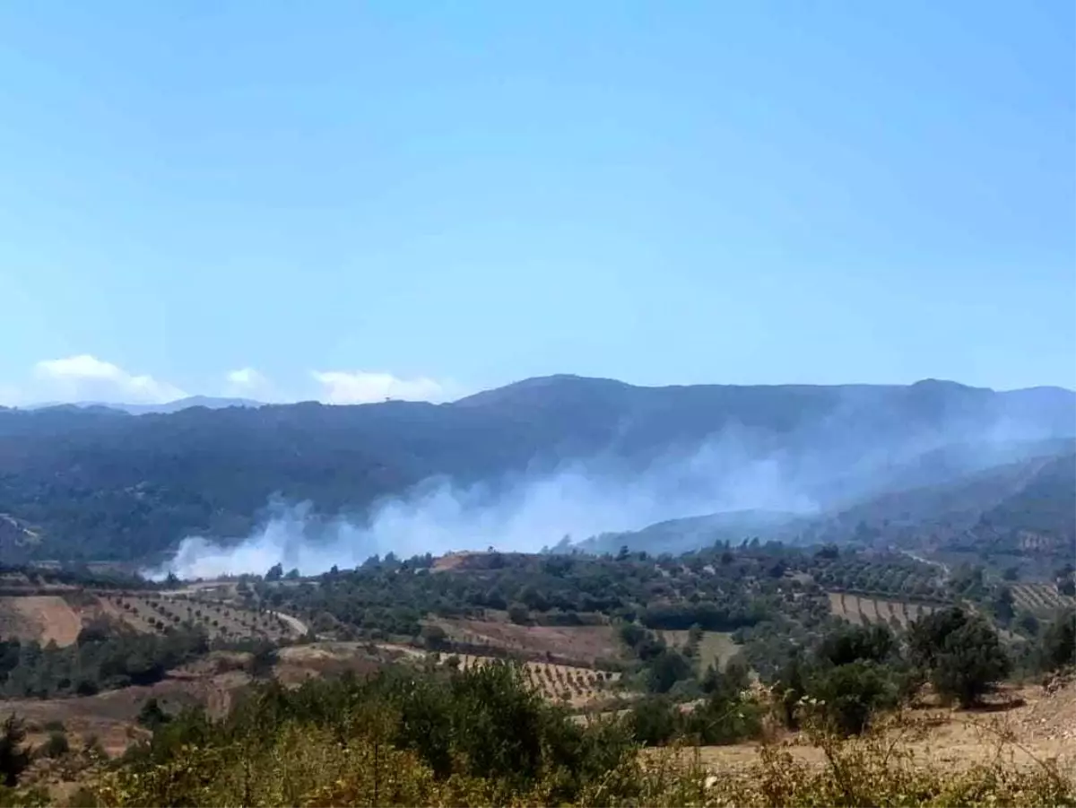 Son dakika... Ormanlık alan yakınında çıkan bahçe yangını söndürüldü