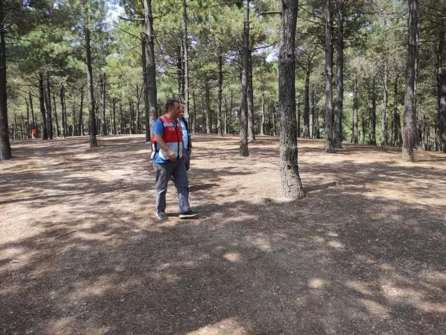 Mesire alanları ve tabiat parklarında piknik ve spor yapılabilecek