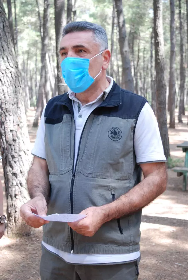 Mesire alanları ve tabiat parklarında piknik ve spor yapılabilecek