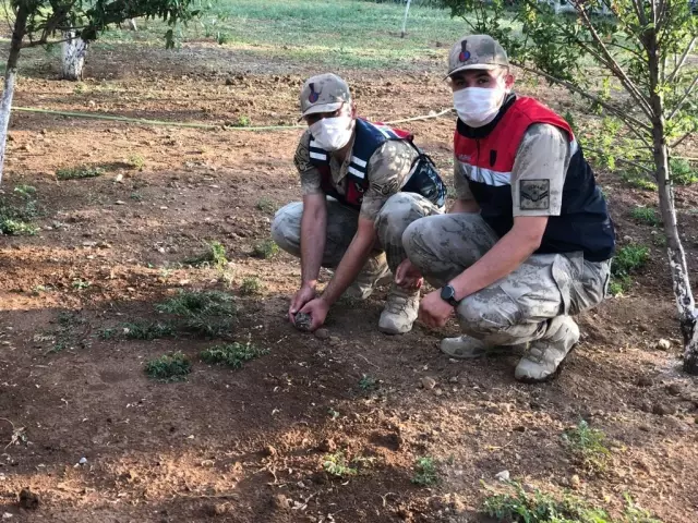 Son Dakika | Jandarma ekiplerinin bulduğu yaralı ebabil tedaviye alındı
