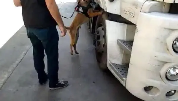 Bir kamyonda 10 bin 70 uyuşturucu hap ele geçirildi