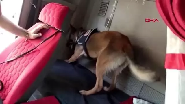 KAMYONDAKİ UYUŞTURUCU HAPLARI NARKOTİK KÖPEĞİ 'HARLEY' BULDU