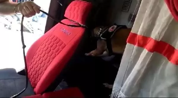 Bir kamyonda 10 bin 70 uyuşturucu hap ele geçirildi