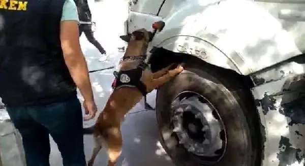 Bir kamyonda 10 bin 70 uyuşturucu hap ele geçirildi