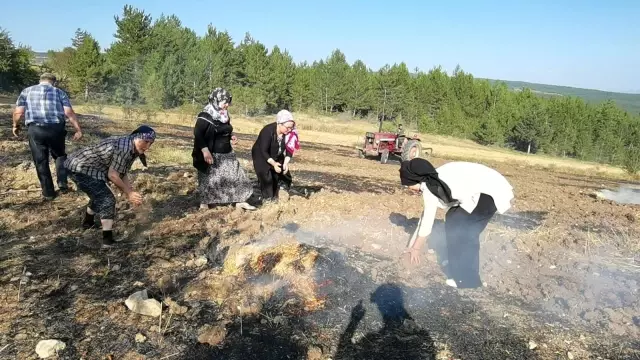 Karabük'te ekin tarlasındaki yangın ormana sıçramadan söndürüldü