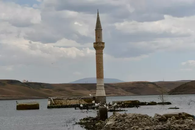 Kuraklık yaban hayatını olumsuz etkiliyor