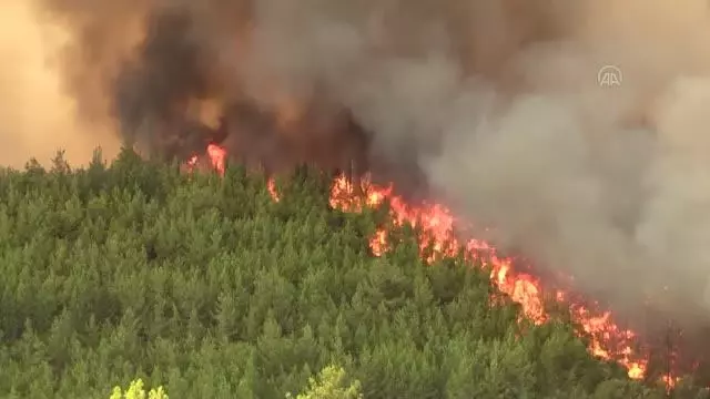 Manavgat'ın Hocalar Mahallesi yakınlarındaki orman yangınına müdahale ediliyor