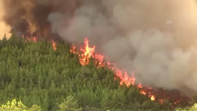 Manavgat'ın Hocalar Mahallesi yakınlarındaki orman yangınına müdahale ediliyor
