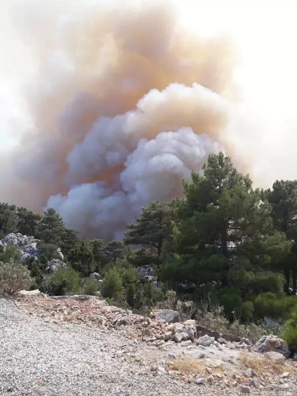 Son dakika haberleri | Manavgat'taki büyük yangın 4'üncü gününde; 2 orman işçisi yaşamını yitirdi