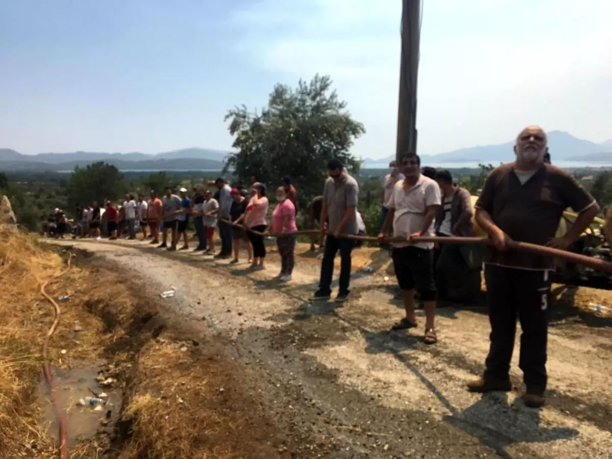 Son dakika haber... Muğla'da alevler yeniden yükselmeye başladı, vatandaşlar seferber oldu