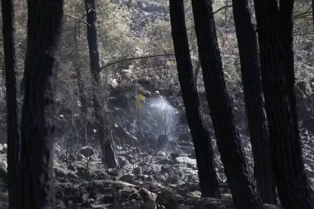 Fethiye ilçesindeki orman yangını kontrol altına alındı