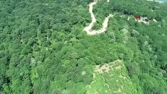 Orman yangınlarının yüzde 90'ından fazlası insan kaynaklı