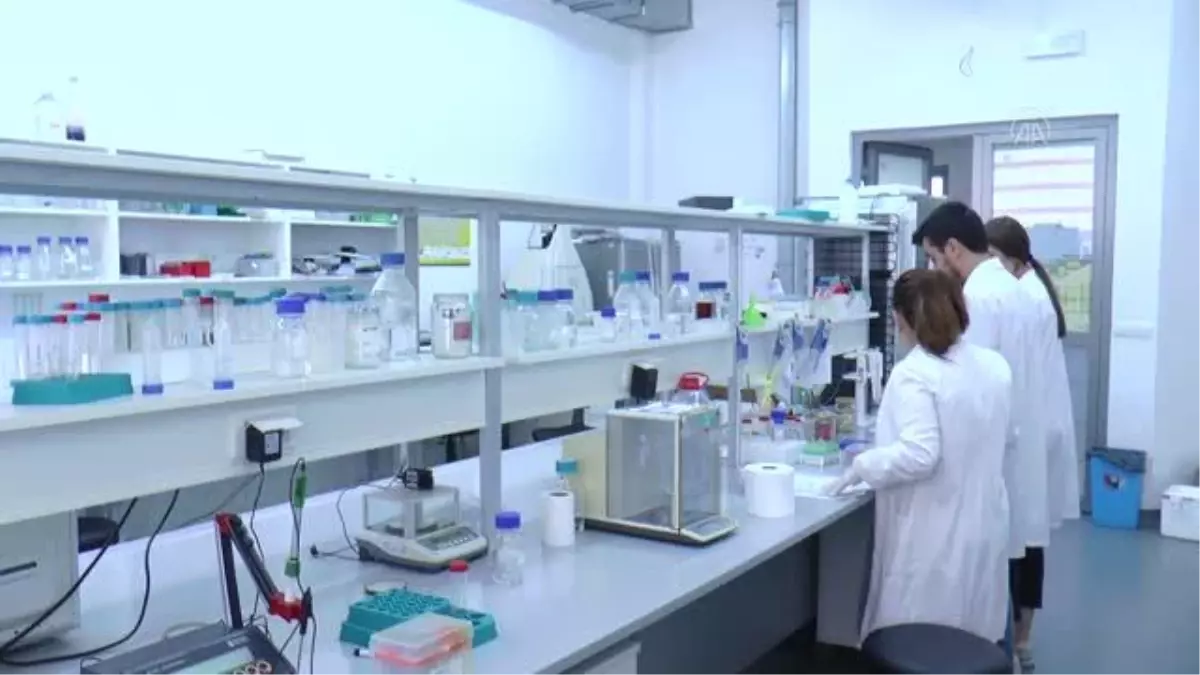 SARAYBOSNA - Bosna Hersek'in en iyi özel üniversitesi IUS yeni dönem öğrencilerini bekliyor (2)