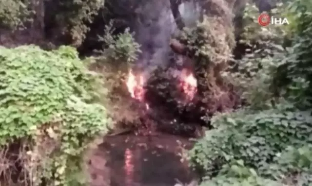 Tabiatın gizli hazinesi 'Turgut Şelalesi' de alevlere teslim oldu