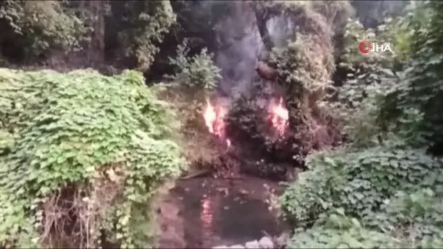 Tabiatın gizli hazinesi 'Turgut Şelalesi' de alevlere teslim oldu