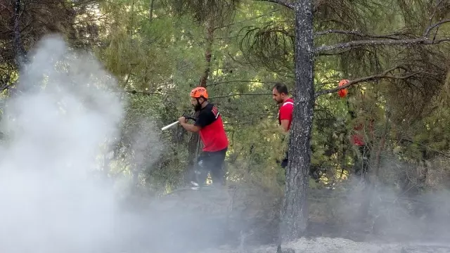 Uşak'ta çıkan orman yangını kontrol altına alındı
