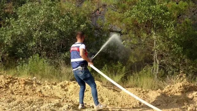 Uşak'ta çıkan orman yangını kontrol altına alındı