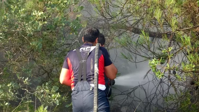 Uşak'ta çıkan orman yangını kontrol altına alındı