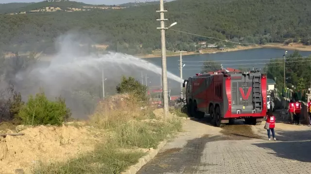 Uşak'ta çıkan orman yangını kontrol altına alındı