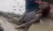 Van'da sel yıktı geçti! Sulara kapılan bir kadının hali görenleri ürküttü Van'da sel yıktı geçti! Sulara kapılan bir kadının hali görenleri ürküttü