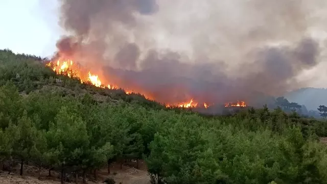 Yangın bölgesinde freni boşalan itfaiye aracı tıra çarptı, iki itfaiye eri yaralandı