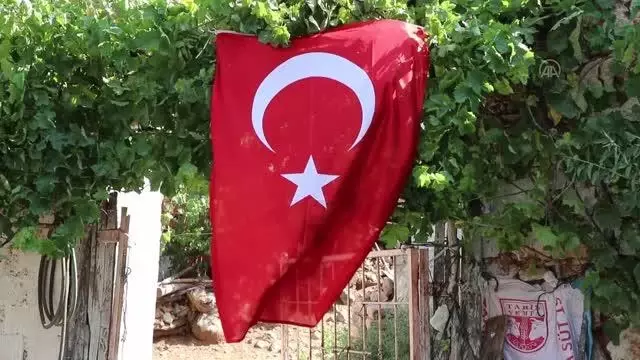 Son dakika haberleri! Yangında şehit olan orman işçisinin babaevi Türk bayraklarıyla donatıldı