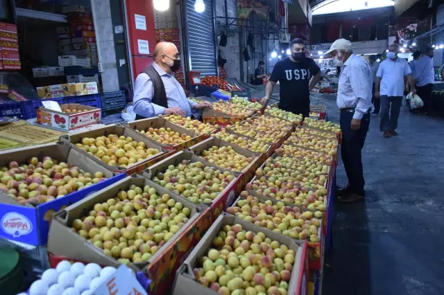 Yaş kayısının ihracat değeri arttı