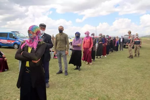 YAYLADA AŞI KUYRUĞU