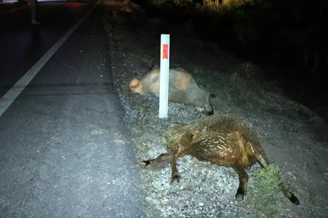 Son dakika: Yozgat'ta trafik kazası: 1 ölü, 2 yaralı