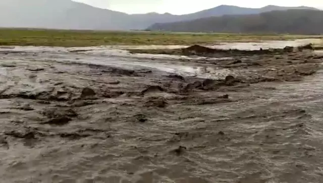Ağrı'da sağanak yağış sele neden oldu