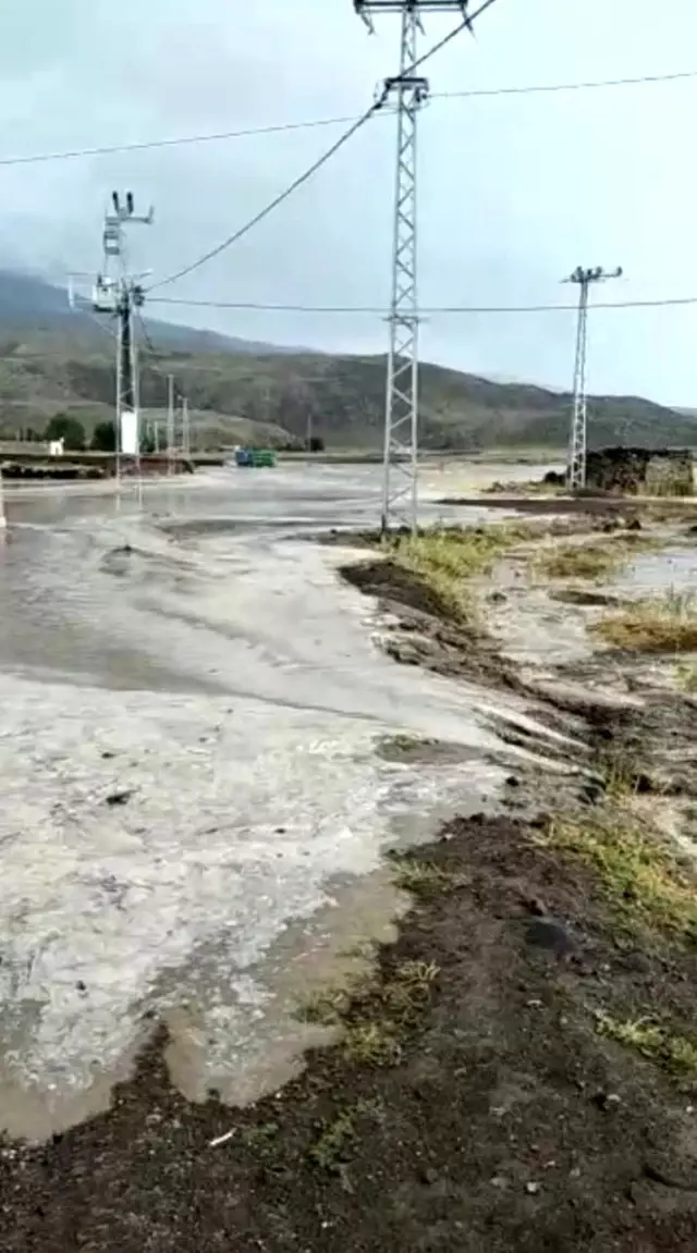 Ağrı'da sağanak yağış sele neden oldu