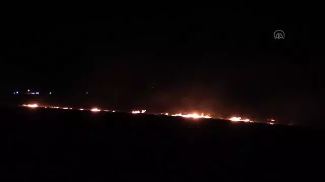 Anız yangının sıçradığı ayçiçeği tarlaları zarar gördü