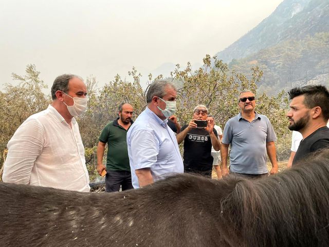 bbp genel baskani destici yanginlarin sebebi 2 14302015 o