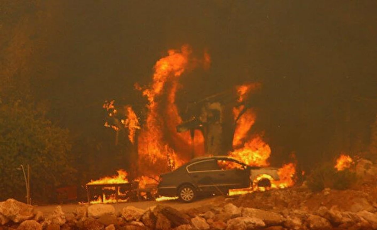 Bodrum'da yangın Çökertme Koyu'na da sıçradı! Alevler her yeri esir aldı -  Haberler