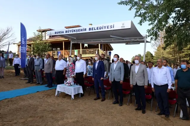 Yaban mersini hasadı törenle başladı