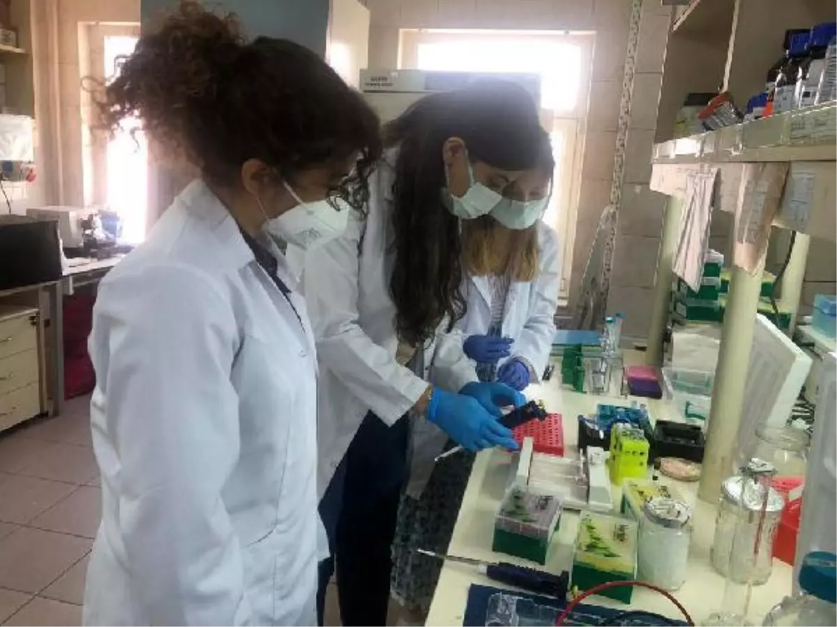 Covid-19'un yayılmasını engelleyecek aşı, klinik çalışma için izin bekliyor