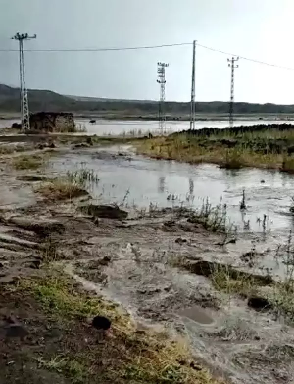 Son dakika haber! DOĞUBAYAZIT'TA SEL