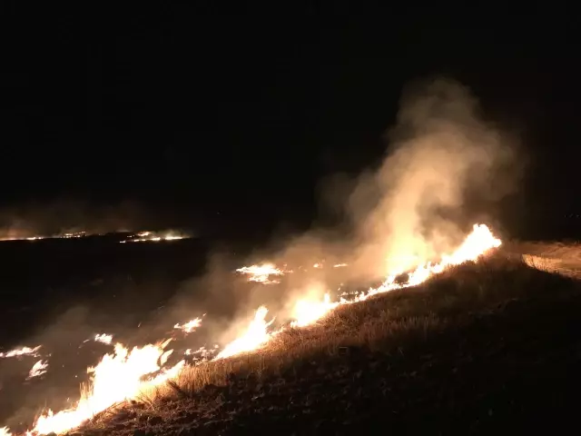 Anız yangının sıçradığı ayçiçeği tarlaları zarar gördü
