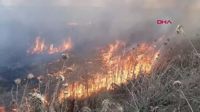 Edirne'de otluk alanda çıkan yangın büyümeden söndürüldü
