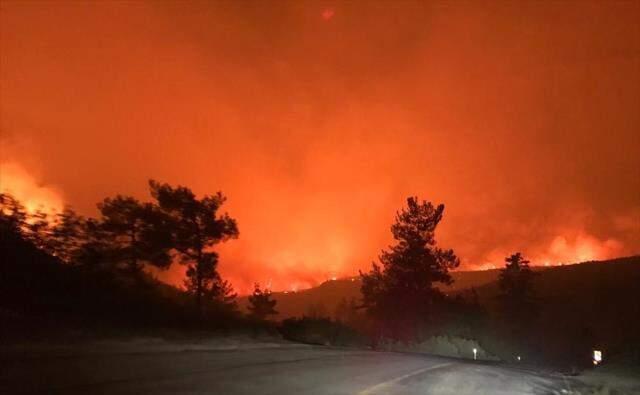 Gece vakti tüyler ürperten görüntülerin geldiği Bodrum'dan kötü haberler peş peşe geliyor! Yangın 2 mahalleye daha sıçradı