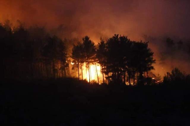 Gece vakti tüyler ürperten görüntülerin geldiği Bodrum'dan kötü haberler peş peşe geliyor! Yangın 2 mahalleye daha sıçradı