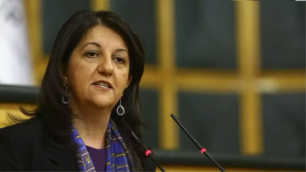 HDP Eş Genel Başkanı Pervin Buldan'dan yangın açıklaması: Kim yaktıysa hesabı sorulmalı