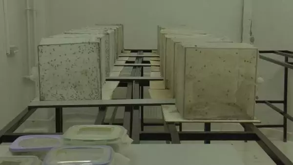 İBB VE UZMANLAR ARASINDA SİVRİSİNEK İLAÇLAMA TARTIŞMASI