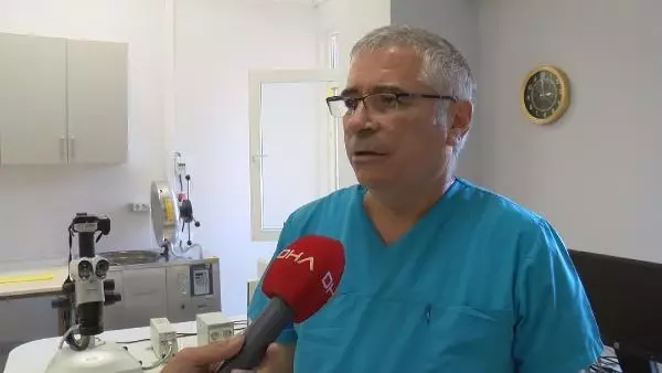 İBB VE UZMANLAR ARASINDA SİVRİSİNEK İLAÇLAMA TARTIŞMASI
